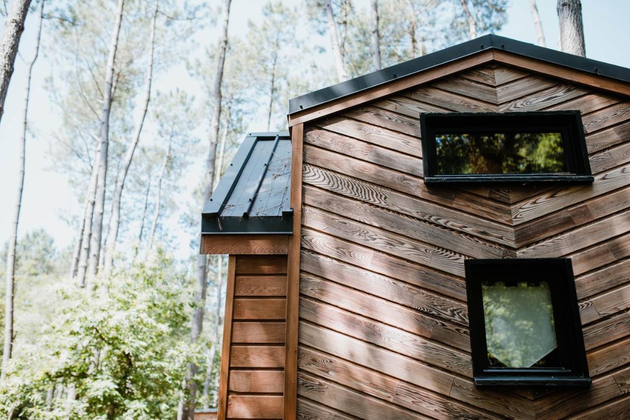 Tiny - Lodge *